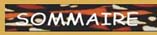 sommaire
