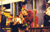lvphotoa.jpg (10333 octets)