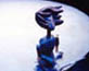 mvphotowp.jpg (7209 octets)